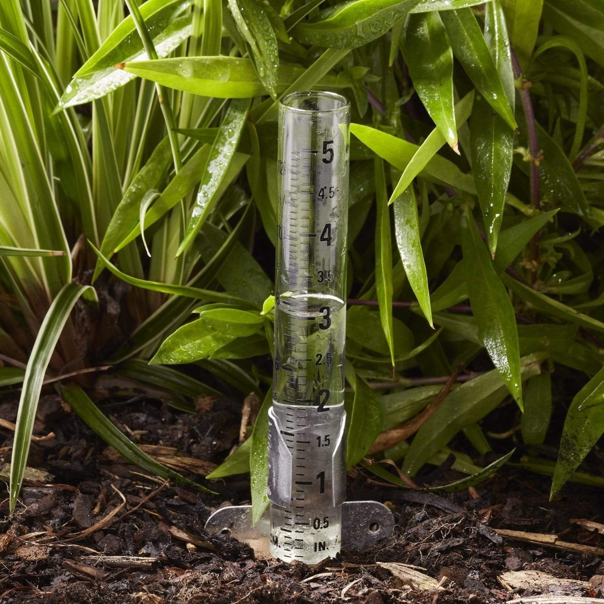 5" Capacity Glass Rain Gauge - Image 2