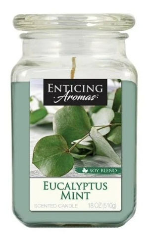 Empire Candles Enticing Aromas Collection, 16oz - Image 3