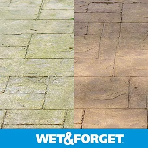 Wet & Forget 805048 Moss, Mold, Mildew and Algae Stain Remover Hose End β 48 oz - Image 7