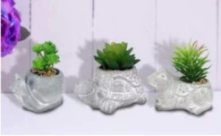 Alpine Cement Animal Pot w/Succulent - Assorted